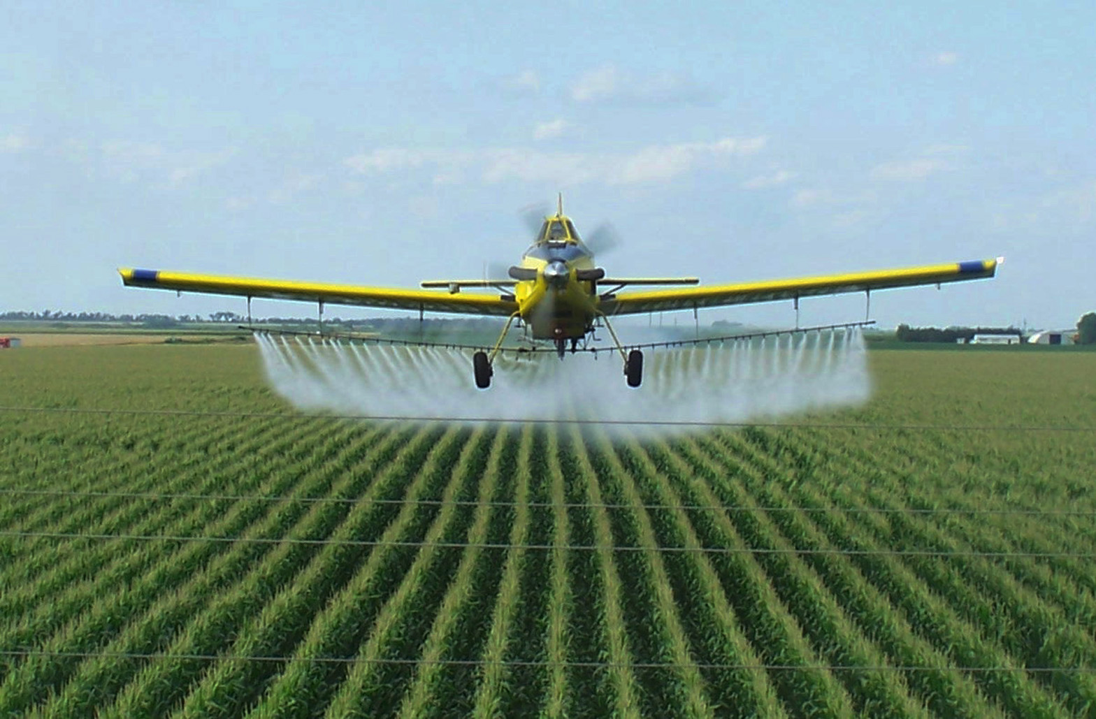 Обработка пестицидами посевов.